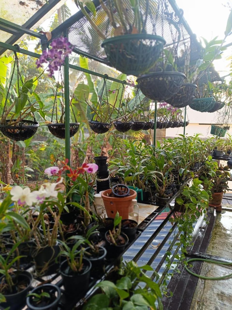 Chaithritha Ladies Homestay Thiruvananthapuram Ngoại thất bức ảnh